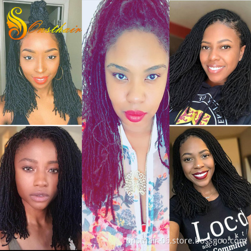 Sister Locks Afro Crochet Braids Color 20 Inch Blonde Brown Bug Synthetic Hair for Women Faux Locs Crochet Hair